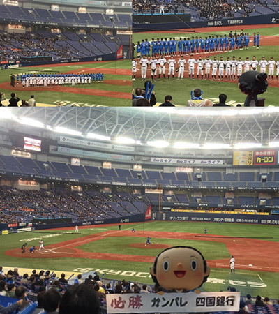 第41回社会人野球日本選手権大会