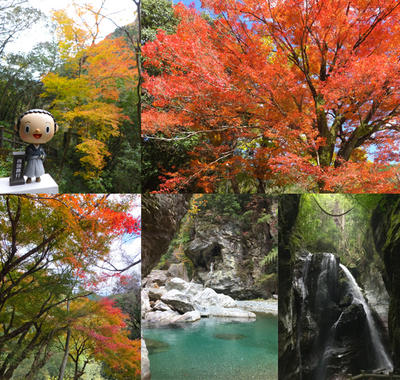 自然が織りなす秋～中津渓谷～