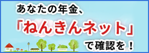 ねんきんネット