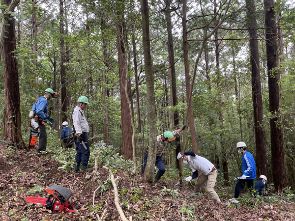 県立のいち総合公園里山保全整備活動の実施