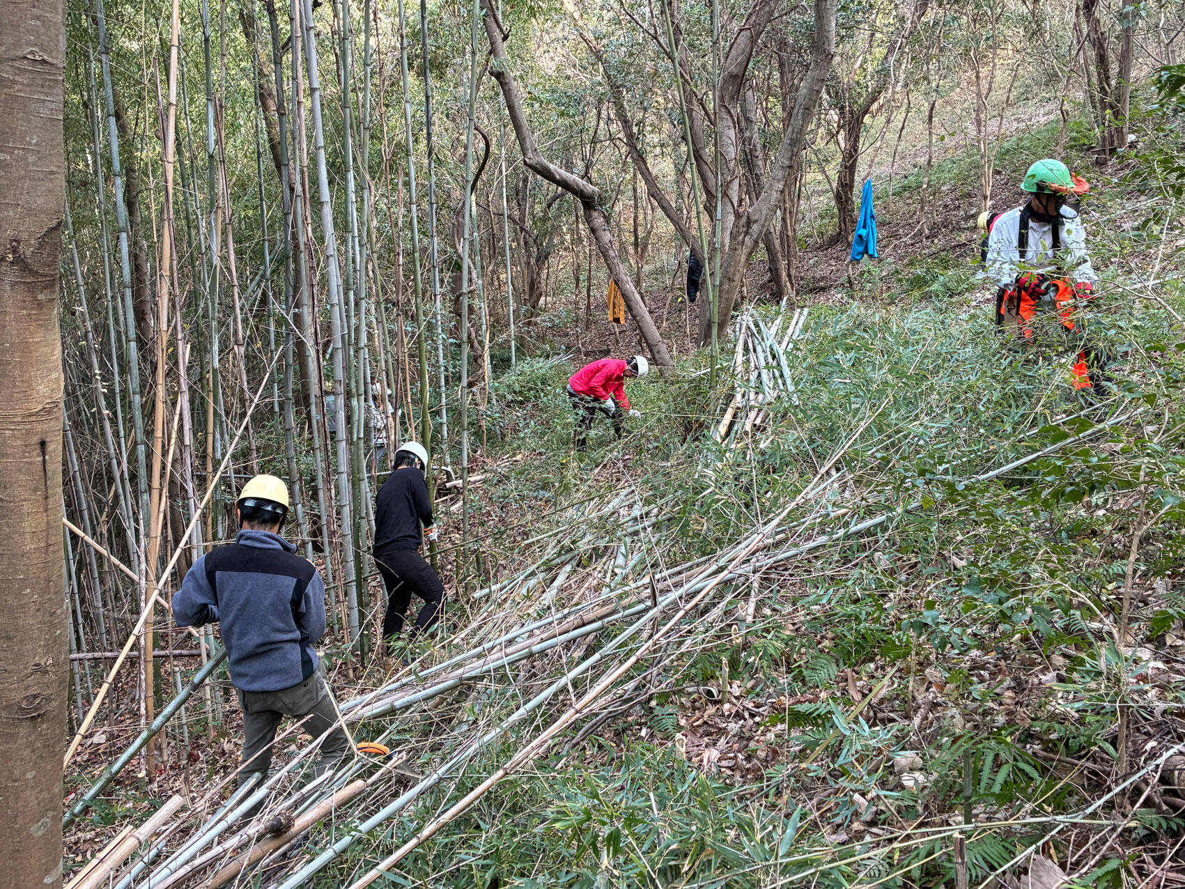 第7回県立のいち総合公園里山保全整備活動の実施