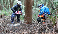 NPOこうち森林救援隊との協働間伐の実施