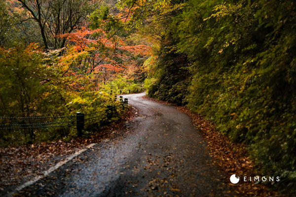 べふ峡｜高知有数の紅葉スポット！山一面が紅葉に染まる秋の美しさは格別。