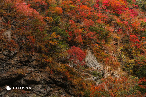 べふ峡｜高知有数の紅葉スポット！山一面が紅葉に染まる秋の美しさは格別。