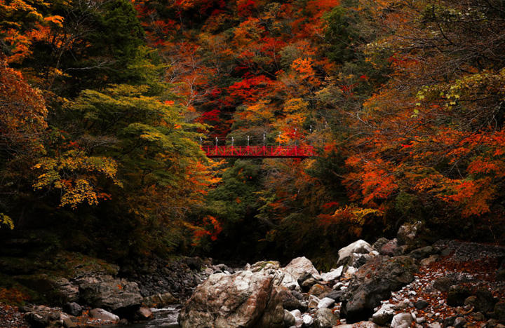 べふ峡｜高知有数の紅葉スポット！山一面が紅葉に染まる秋の美しさは格別。