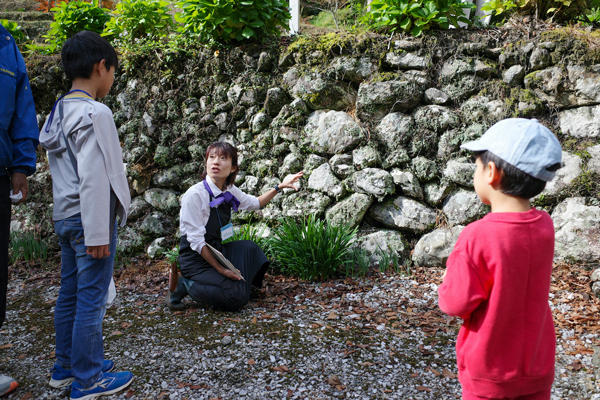 防災植物天ぷらに防災植物サラダ！災害時に役立つ「防災植物」を食べてみた