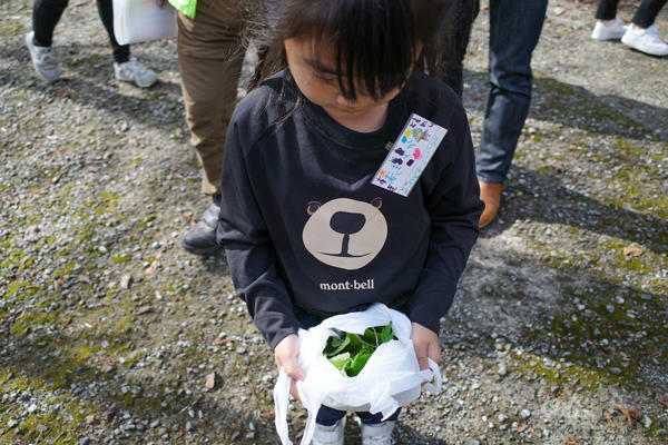 防災植物天ぷらに防災植物サラダ！災害時に役立つ「防災植物」を食べてみた