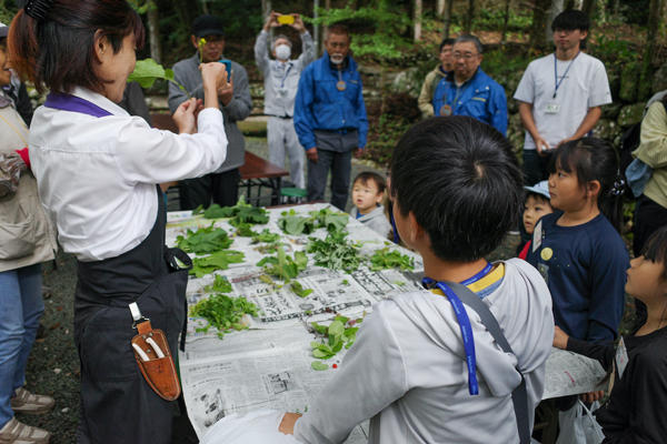 防災植物天ぷらに防災植物サラダ！災害時に役立つ「防災植物」を食べてみた