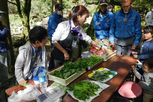 防災植物天ぷらに防災植物サラダ！災害時に役立つ「防災植物」を食べてみた