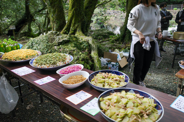 防災植物天ぷらに防災植物サラダ！災害時に役立つ「防災植物」を食べてみた