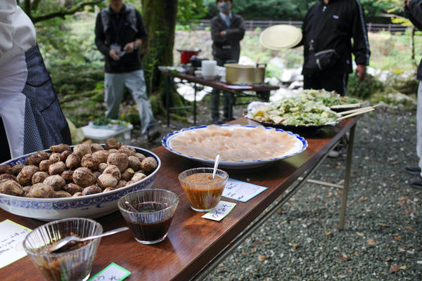 防災植物天ぷらに防災植物サラダ！災害時に役立つ「防災植物」を食べてみた