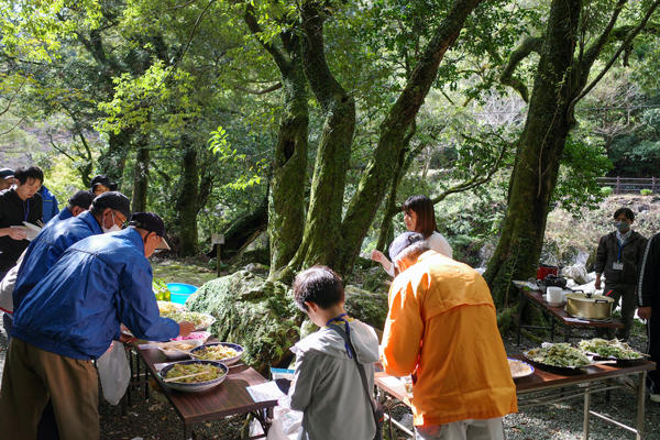 防災植物天ぷらに防災植物サラダ！災害時に役立つ「防災植物」を食べてみた