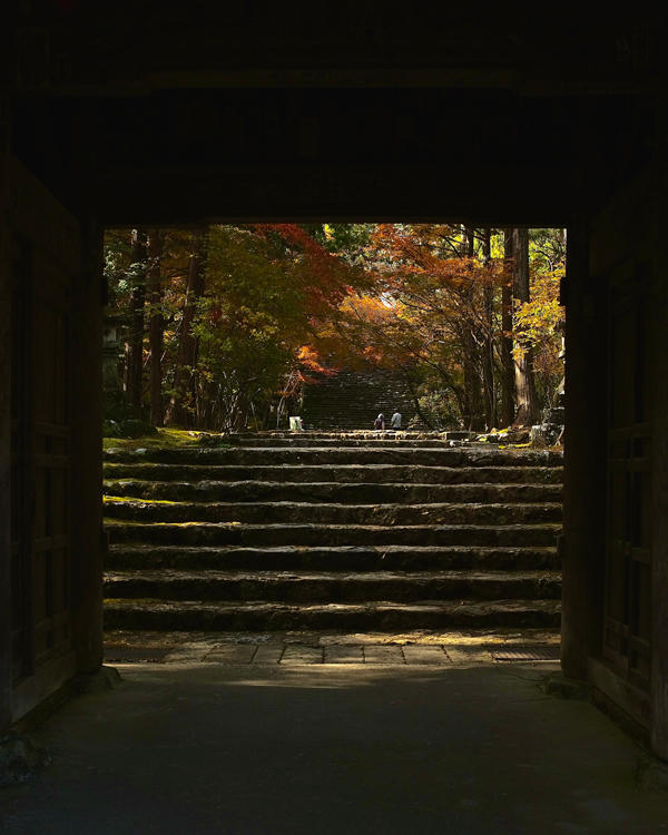 五台山 竹林寺｜紅葉の絶景に包まれる秋のひととき