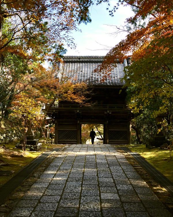 五台山 竹林寺｜紅葉の絶景に包まれる秋のひととき