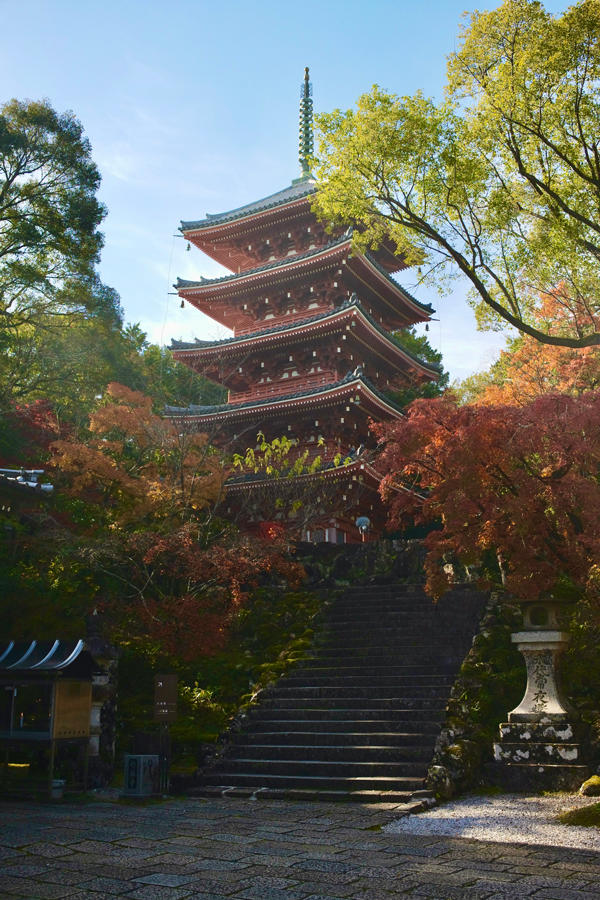 五台山 竹林寺｜紅葉の絶景に包まれる秋のひととき