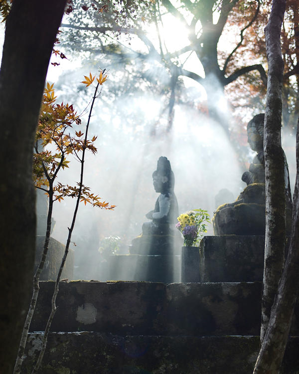 五台山 竹林寺｜紅葉の絶景に包まれる秋のひととき