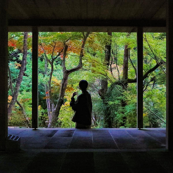 五台山 竹林寺｜紅葉の絶景に包まれる秋のひととき