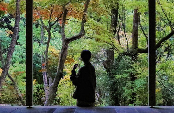 五台山 竹林寺｜紅葉の絶景に包まれる秋のひととき