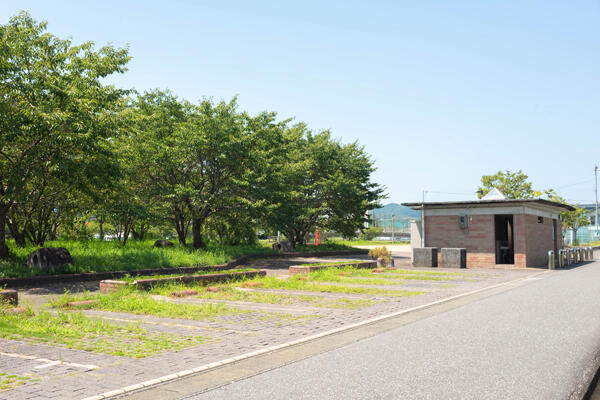 枝川公園