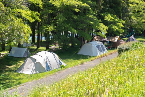 波川公園｜仁淀川で自然を満喫！アクセス抜群の癒しスポット