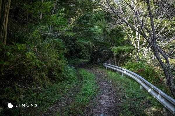 白龍湖（Hakuryuko）｜神秘的な青さが話題！地図にない四国カルスト麓の秘境スポット