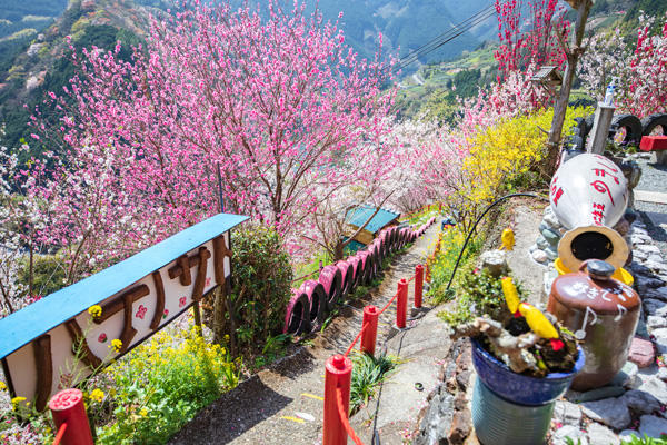 花の里公園（仁淀川町）｜花桃が咲き誇る！地元民が作り上げた小さな公園