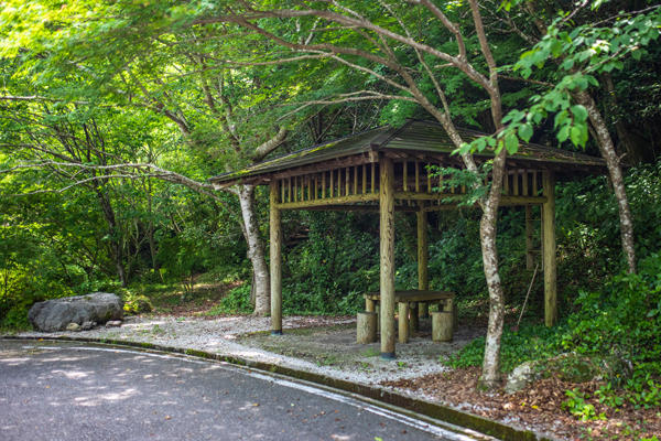 平家の滝（Heikenotaki）｜迫力満点！高知市の鏡川上流にある落差約30ｍの2段瀑