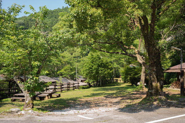 物部川沿いの癒し空間。日ノ御子河川公園キャンプ場で自然と過ごす休日