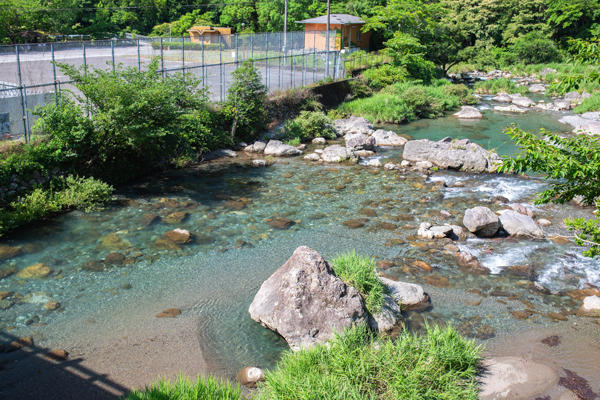 物部川沿いの癒し空間。日ノ御子河川公園キャンプ場で自然と過ごす休日