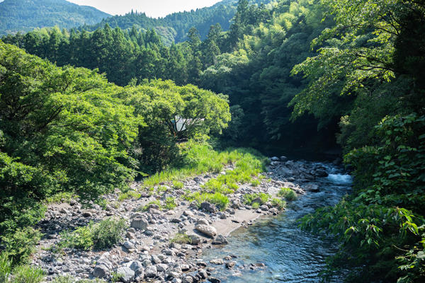 物部川沿いの癒し空間。日ノ御子河川公園キャンプ場で自然と過ごす休日