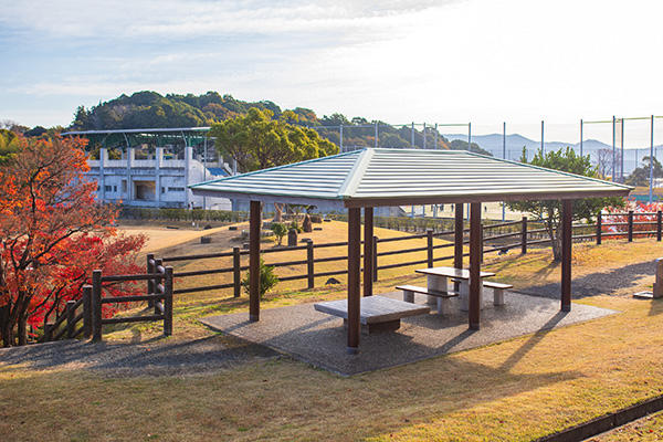 秦山公園（じんざんこうえん）　人気のふわふわドームも！香美市の自然あふれる公園園
