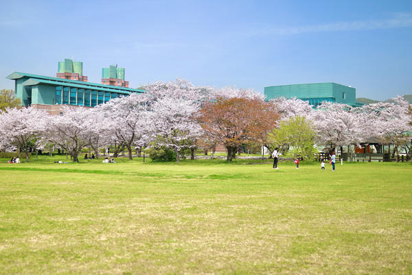 鏡野公園（香美市）｜春は必ず訪れたい！高知有数の桜の名所