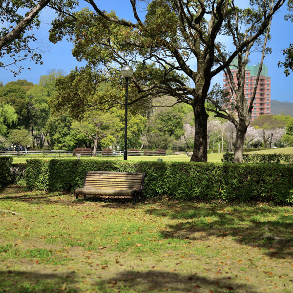 鏡野公園（香美市）｜春は必ず訪れたい！高知有数の桜の名所