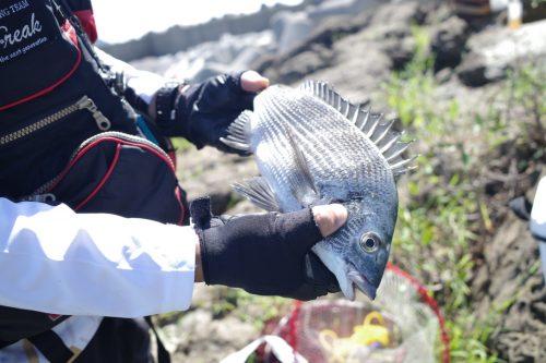 高知家の○○　釣り対決