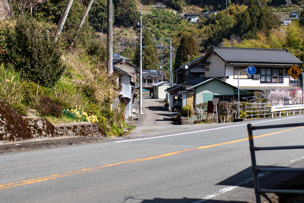 箕淵（Mibuchi）自然が魅せる絶景！息を飲むような秘境スポット | 四銀