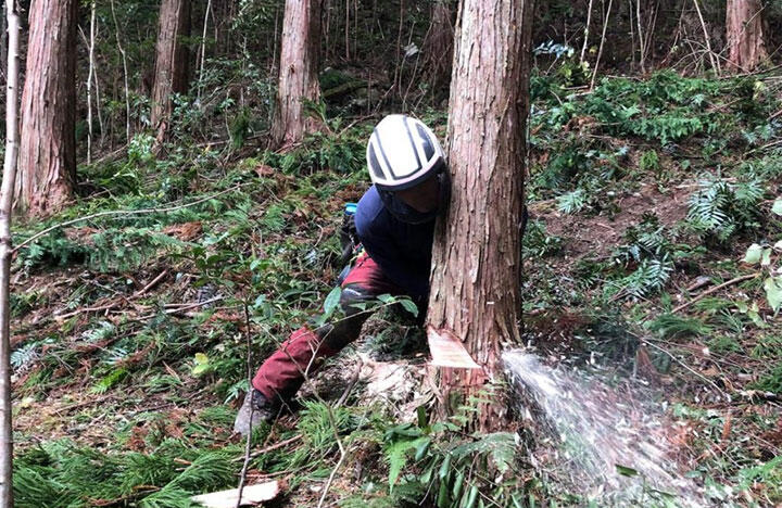 「高知県嶺北地域で取り組む山と都市そして人を結び未来へ繋げる「もりとみず基金」とは