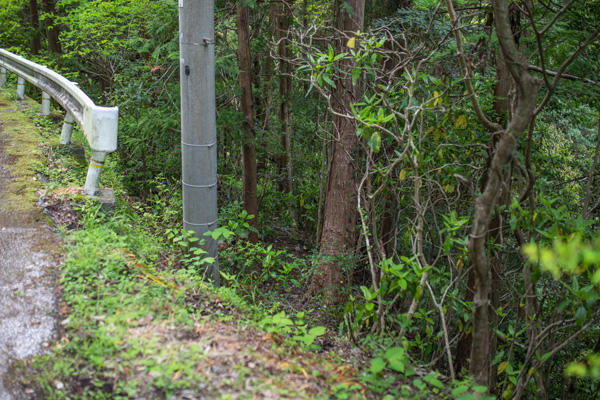 限られた勇者しか到達できない「明神の滝（高知市）」を目指せ！