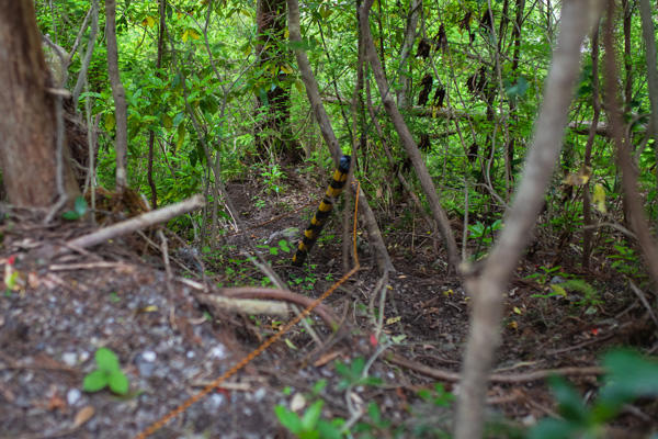 限られた勇者しか到達できない「明神の滝（高知市）」を目指せ！