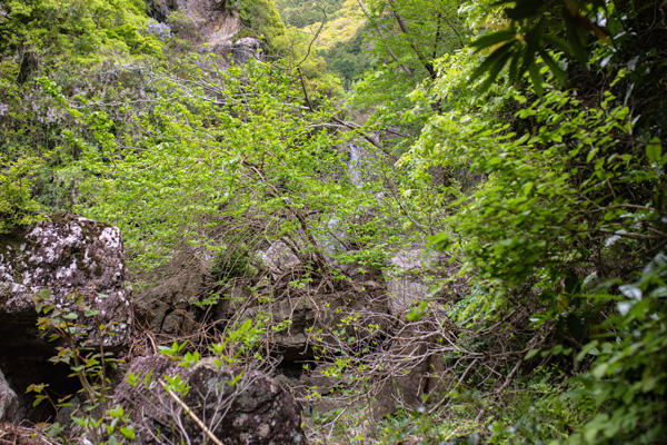 限られた勇者しか到達できない「明神の滝（高知市）」を目指せ！