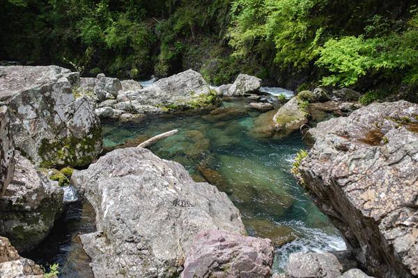 限られた勇者しか到達できない「明神の滝（高知市）」を目指せ！