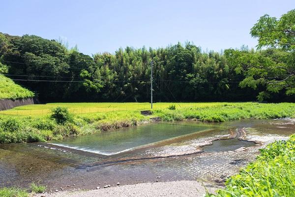 蜷川河川プール｜知る人ぞ知る清流の遊び場！川の水が流れ込む天然プール