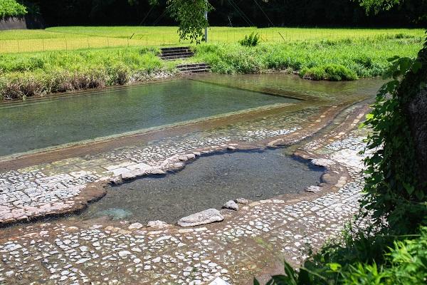 蜷川河川プール｜知る人ぞ知る清流の遊び場！川の水が流れ込む天然プール
