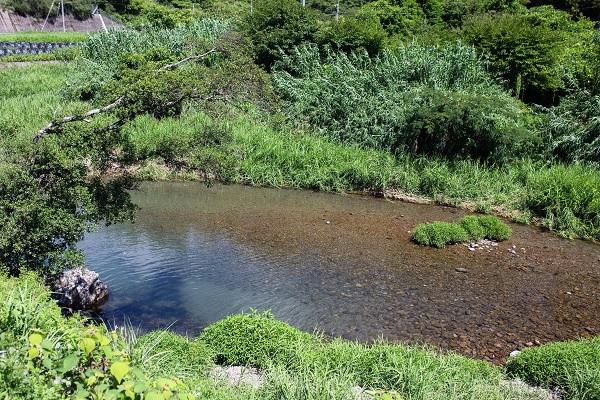 蜷川河川プール｜知る人ぞ知る清流の遊び場！川の水が流れ込む天然プール