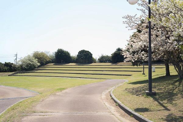桜づつみ公園はただの花見スポットじゃない！世界に誇る遊具と自然が魅力