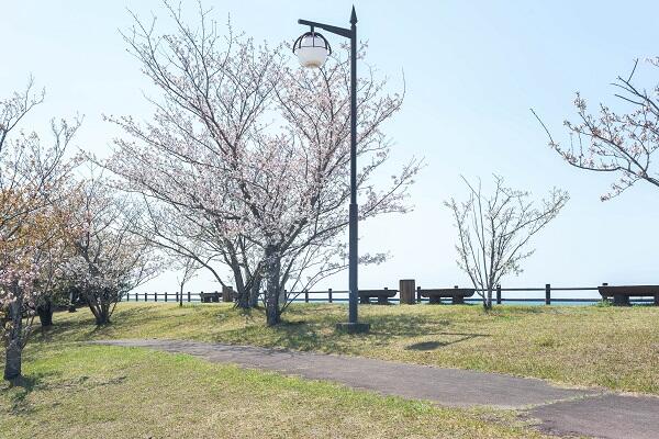 桜づつみ公園はただの花見スポットじゃない！世界に誇る遊具と自然が魅力