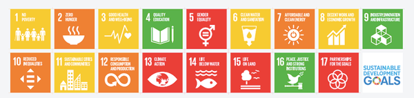 参照：Sustainable Development Report　2020
