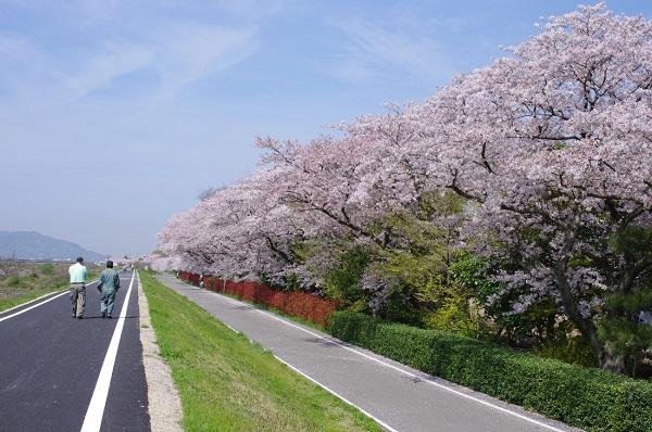 ロケ地を巡る旅！高知・愛媛で聖地巡礼6選