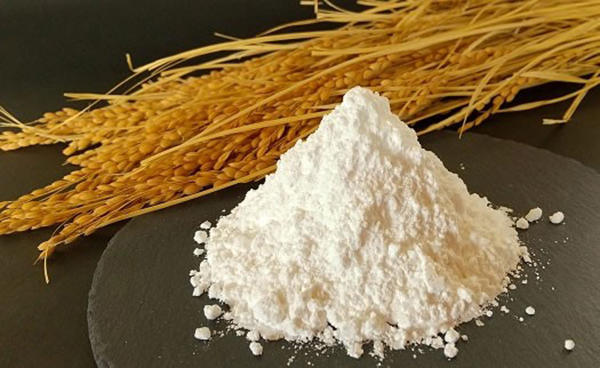 グルテンフリー!米粉で作るバスクチーズケーキ