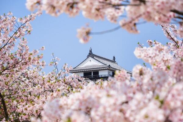 四国で桜を見るならここ！名所から穴場まで満開の景色が楽しめるスポットを紹介