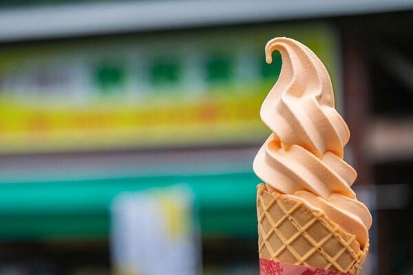 四国の食べ歩きグルメを紹介！それぞれの県の名物を楽しもう